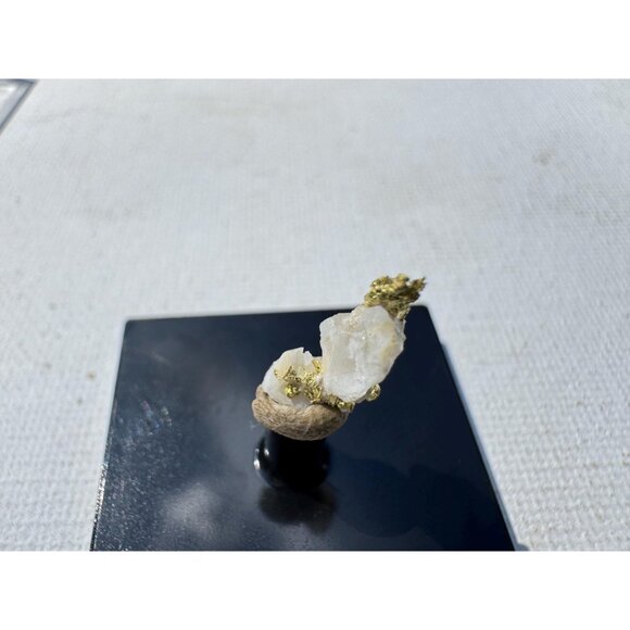 Gold on Quartz - Natural California Gold Specimen in Perky Display Box - #7 - Picture 7 of 7